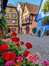 🍇🏰 Riquewihr: Alsace’s Fairy-Tale Wine Village