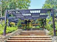 Climb into Nature’s Charm at Laman Pepanjat! 