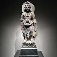 A Solo Trek Through Ancient Civilizations: India, Gandhara, Egypt & West Asia 🐫