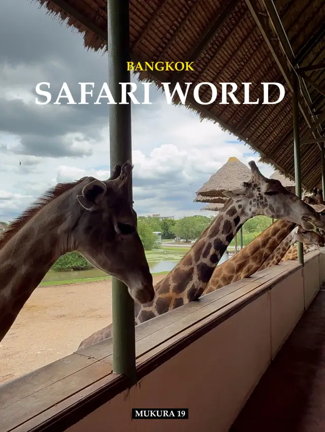 Safari World ผจญภัยซาฟารีสุดมันส์กลางกรุงเทพฯ