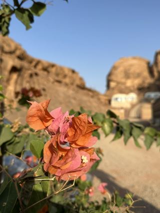 Wadi Rum, Jordan