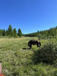 Reindeer Herders’ Village – Taiga, Mongolia