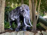 百萬城市美景的「塔龍加動物園」