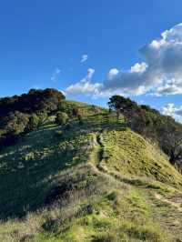 Nature’s Canvas: Exploring New Zealand’s Living Landscapes 
