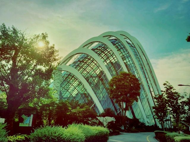Cloud Forest──夢幻雲霧中的綠色奇境