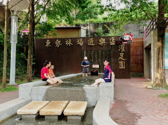 🌲 東勢林場 - 台中森林療癒系遊樂區