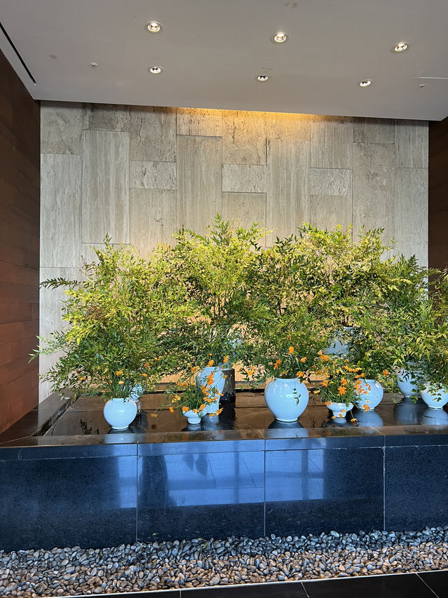 남산뷰 반얀트리 호텔🍁