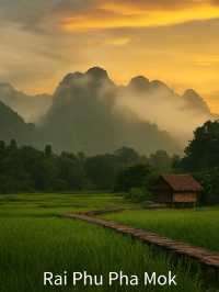 ดอยหลวงเชียงดาว