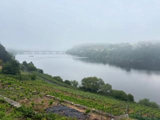 Experiencing the Tranquil Charm of Palas de Rey