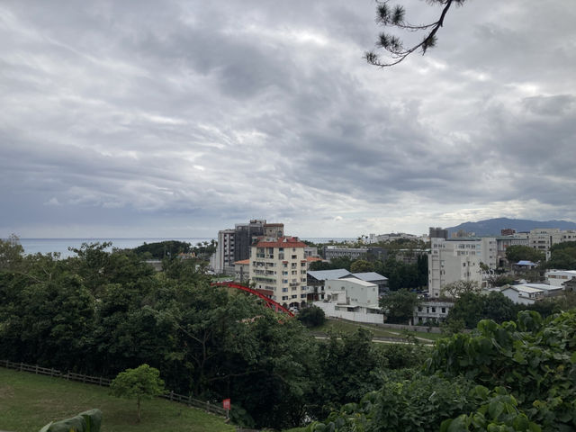 去松園別館看百年松樹