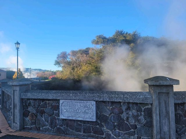 Quiet morning walk along Lake Rotorua boardwalk and Government Gardens