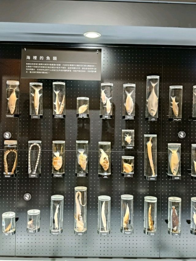 需提前預約的屏東海生館後場參訪！