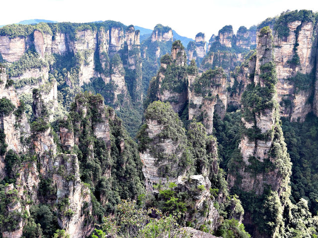 🏞️ 장가계 황석채 여행기 👍 🏞️ 장가계 황석채 여행기 👍