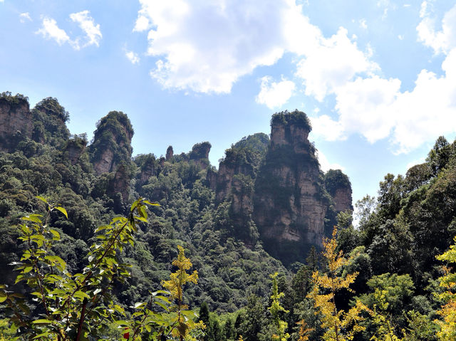 🏞️ 장가계 황석채 여행기 👍 🏞️ 장가계 황석채 여행기 👍