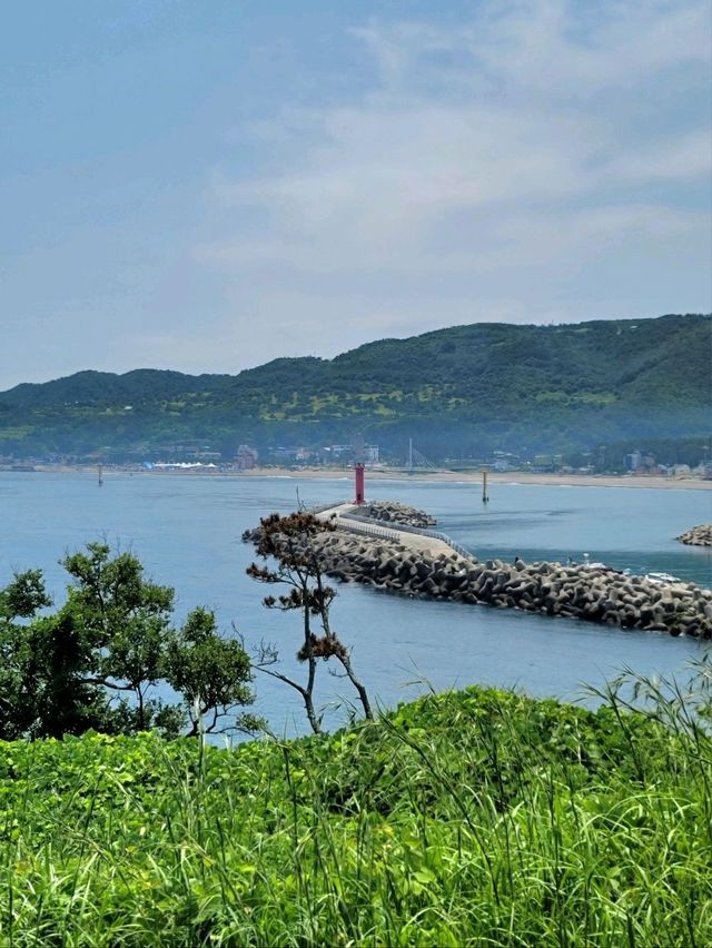 꼭한번 가봐야할 sns핫플 경주여행코스💙