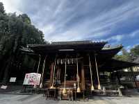 仙台東照宮｜徳川家康を祀る、歴史と桜と絶景の社