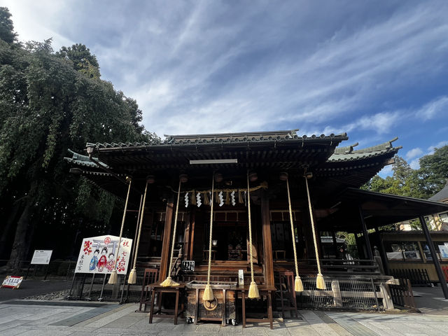仙台東照宮｜徳川家康を祀る、歴史と桜と絶景の社
