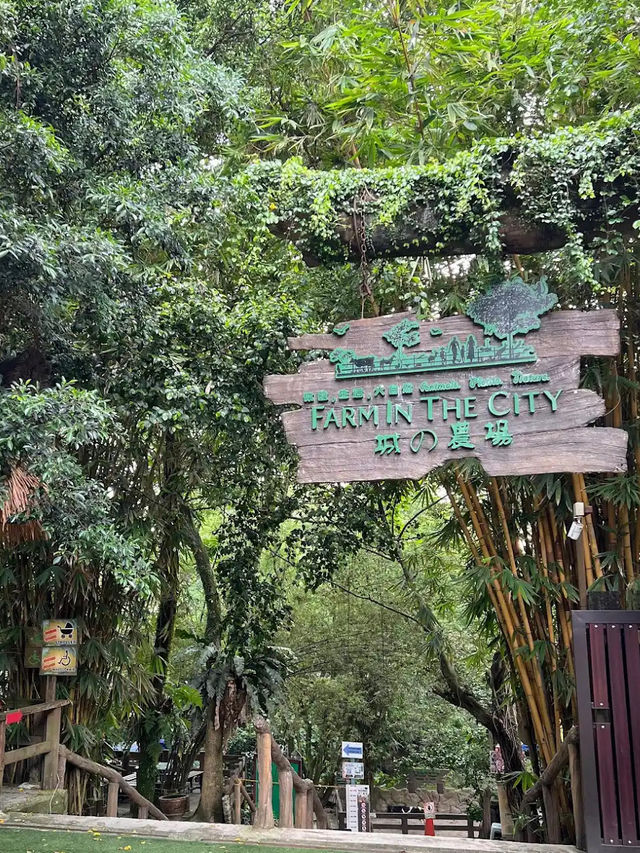 📍 Farm In The City, Kuala Lumpur 방문 후기