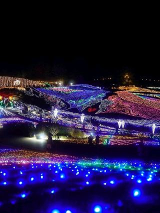 สวนแสงสว่างแผ่ขยายไปทั่วท้องฟ้ายามค่ำคืนอันกว้างใหญ่ ทำให้รู้สึกเหมือนคุณกำลังเดินเล่นท่ามกลางดวงดาว