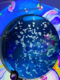 Xpark探險記：水母光影下的夢幻一日