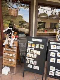 【淡路島】本物のコアラに間近で会える！秋の魅力たっぷりスポット