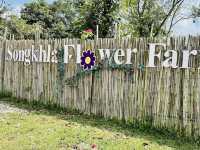 Songkhla Flower Farm