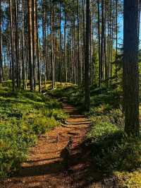 🌲 Seitseminen National Park – Where Finnish Wilderness Comes Alive
