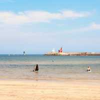 The Closest Seaside Escape to Jeju City