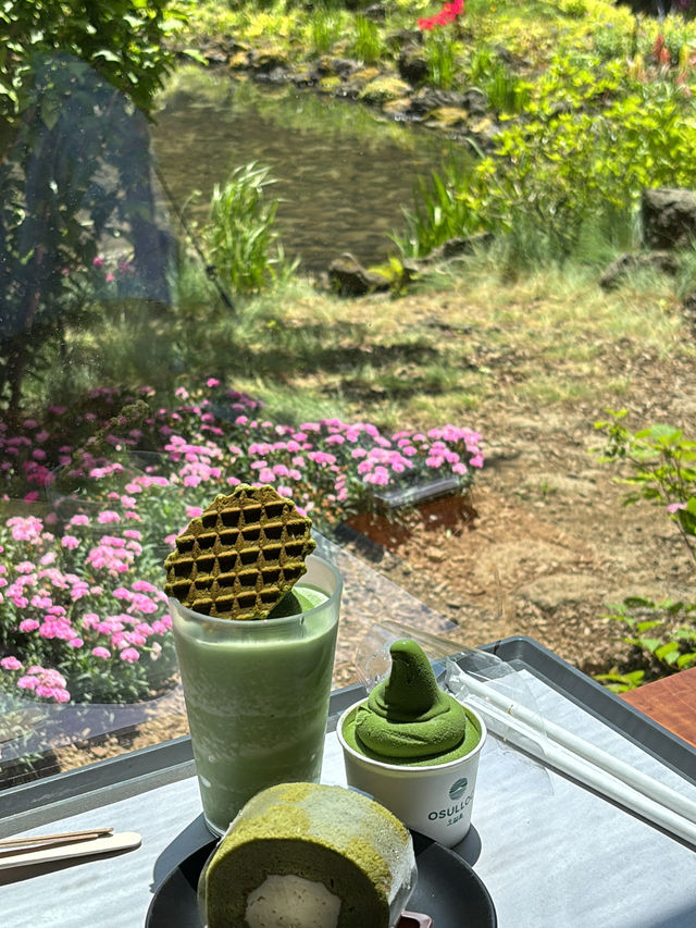 🌿제주도 감성 한가득, 먹고 보고 느낀 루트