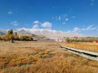 The Golden Grassland of the Pamir: A Golden Scroll on the Plateau