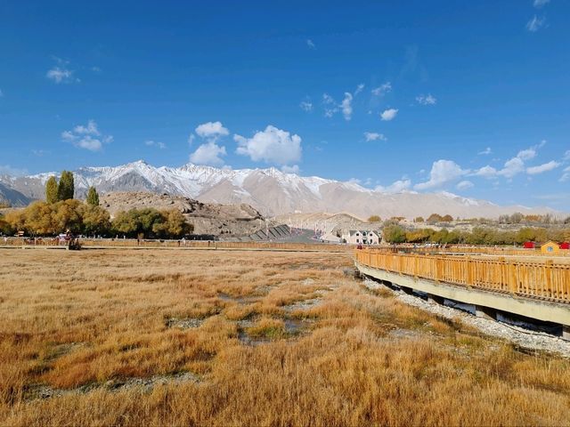 The Golden Grassland of the Pamir: A Golden Scroll on the Plateau