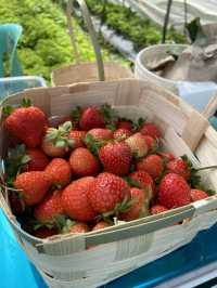 2days Itinerary in BAGUIO 