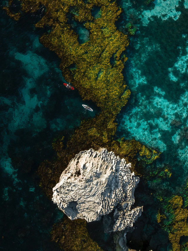A Serene Escape to Rottnest Island, Perth
