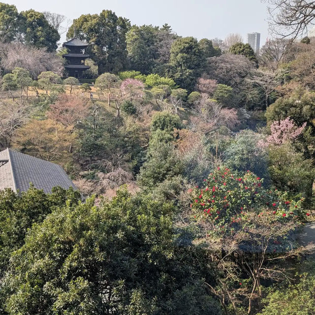 Hotel Chinzan-sō Tokyo Garden