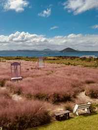 Experience Authentic Udo Island Charm