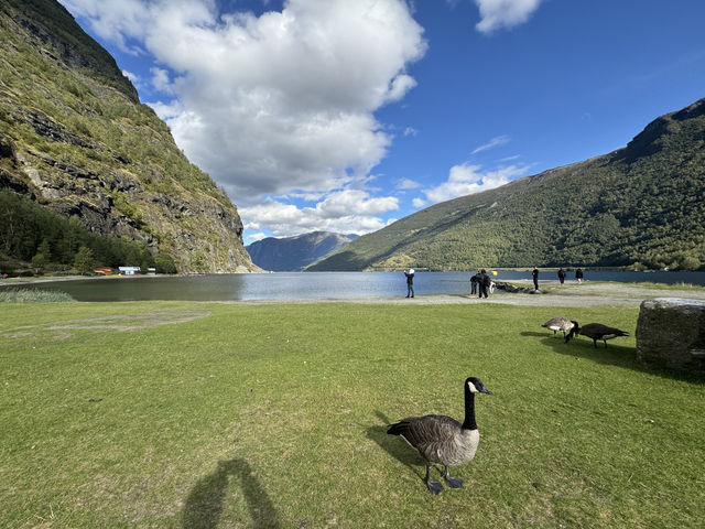 Strolling Around Flåm