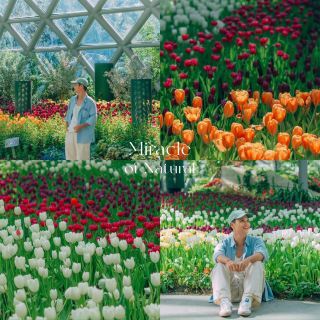 Kỳ quan thiên nhiên 🌸🌷 Tỉnh Rayong