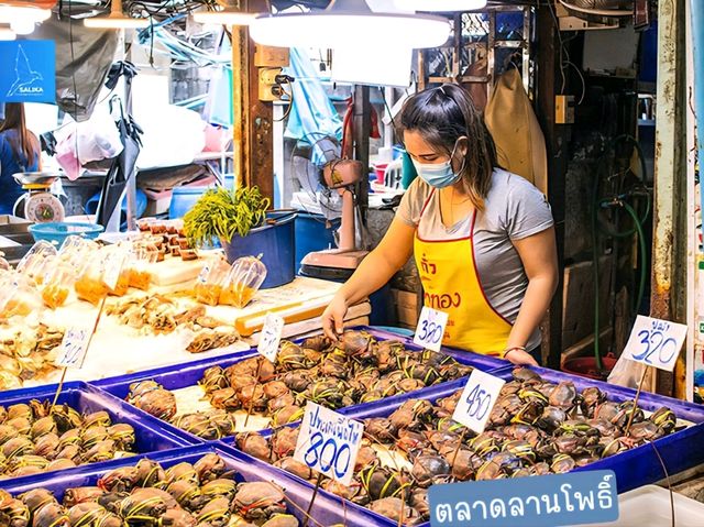 “พัทยา เที่ยวครบในทริปเดียว ไม่ต้องง้อวันหยุดยาว" “พัทยา เที่ยวครบในทริปเดียว ไม่ต้องง้อวันหยุดยาว"