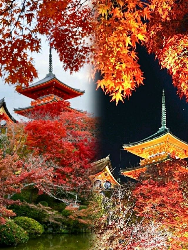 🍂 Kiyomizudera Temple – Kyoto’s Autumn Masterpiece in Crimson and Gold 🇯🇵✨
