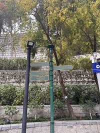 Roaming The Streets of Macau 🚶