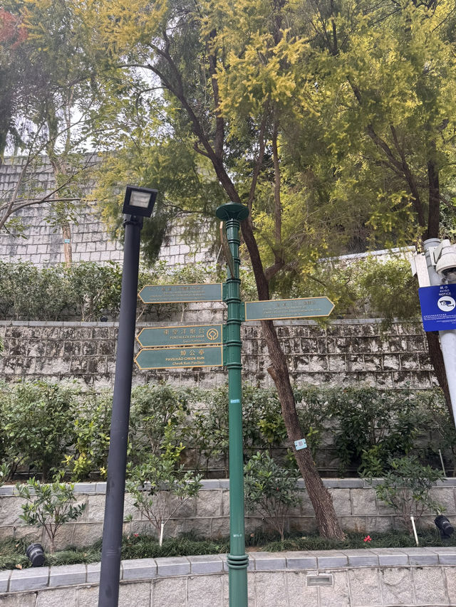 Roaming The Streets of Macau 🚶