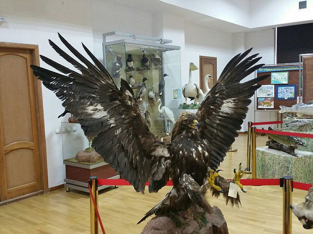 Central State Museum of Kazakhstan