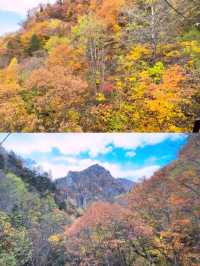 🍁札幌必打卡！深秋豐平峽水庫紅葉絕景全攻略