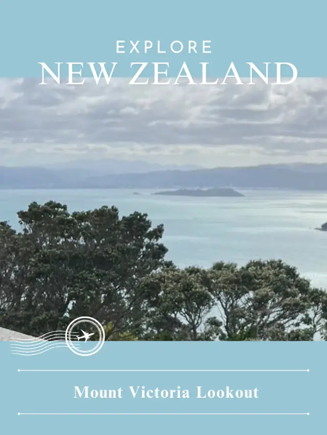 【NZ】🌄 웰링턴을 360° 바라보는 절경 명소 — Mount Victoria Lookout