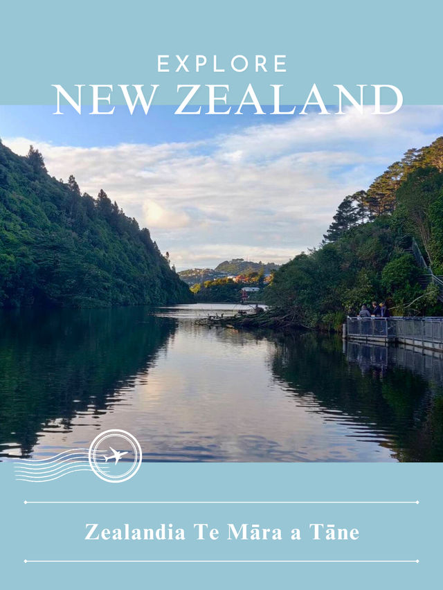 【NZ】🌿 Zealandia & Mount Eden|生きた自然保護区と火山の丘で“生命と景観”を味わう 【NZ】🌿 Zealandia & Mount Eden|生きた自然保護区と火山の丘で“生命と景観”を味わう