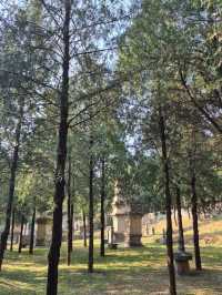 ป่าเจดีย์วัดเส้าหลิน — เงียบ งดงาม ลึกลับ