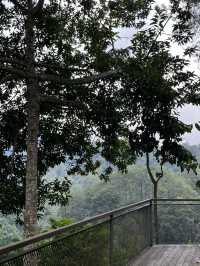 Staycation di villa mewah yang ada di Dago 🍃