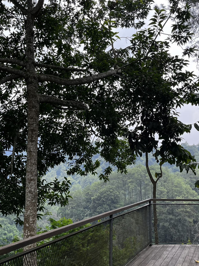 Staycation di villa mewah yang ada di Dago 🍃 Staycation di villa mewah yang ada di Dago 🍃