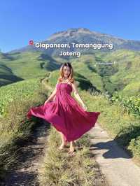 SWISSNYA INDONESIA VERSI JAWA TENGAH