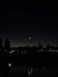 念願のTekapo⛪️⭐️ルピナスが咲き誇ってた!